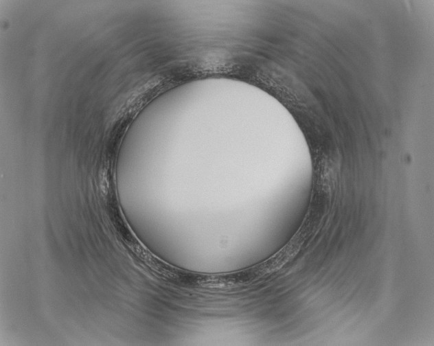 X0000069840746200606091510
