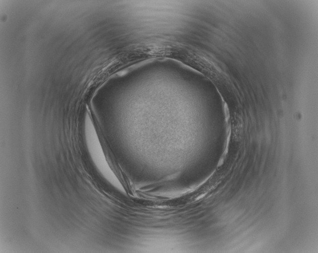 X0000069840748200606091510
