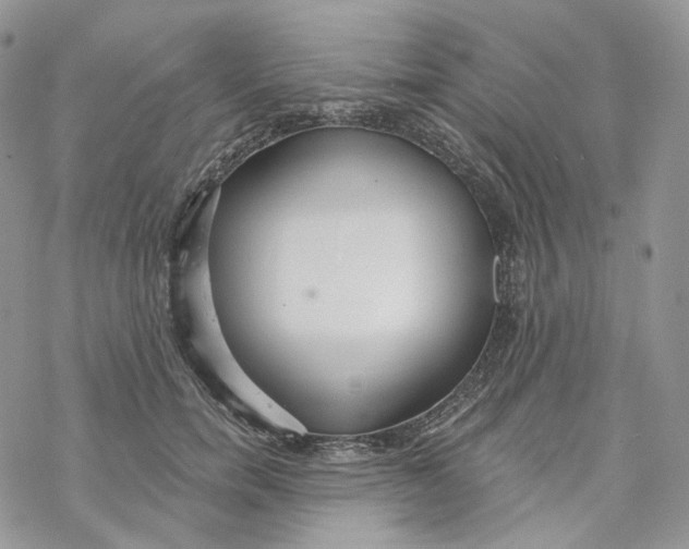 X0000069840750200606091510