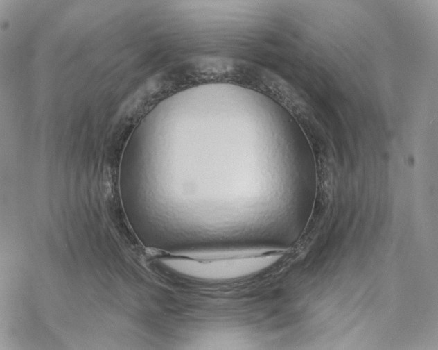 X0000069840758200606091510