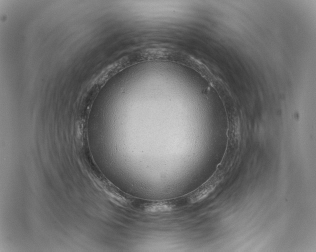X0000069840759200606091510