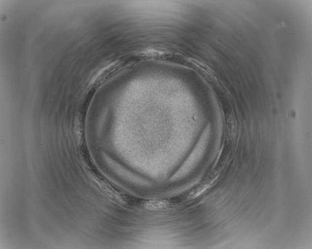 X0000069840762200606091510