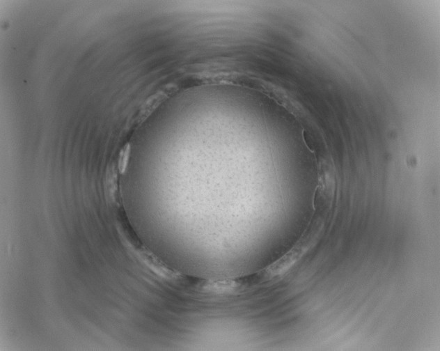 X0000069840767200606091511