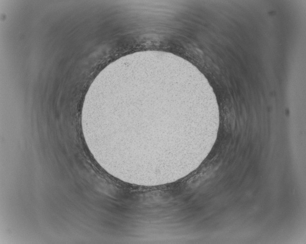 X0000069840769200606091510