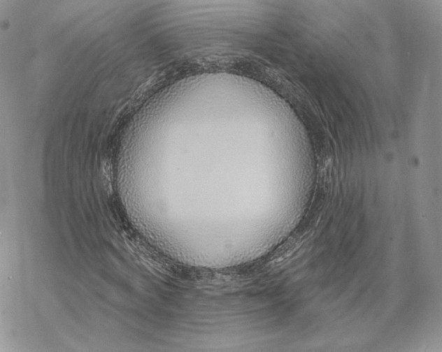 X0000069840772200606091510