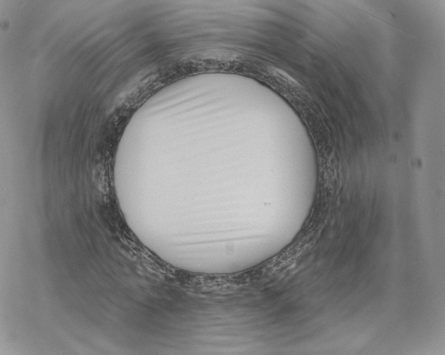 X0000069840774200606091510