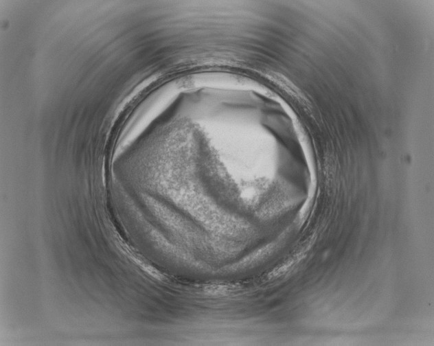 X0000069840790200606091509