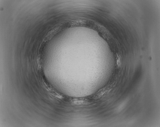 X0000069840819200606091508