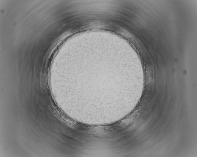 X0000069840828200606091508