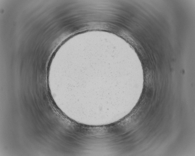 X0000069840836200606091509