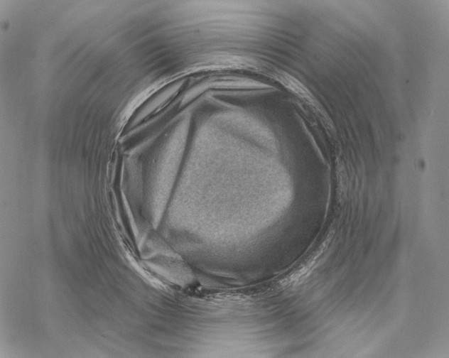 X0000069840842200606091509
