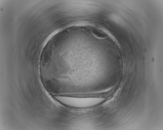 X0000069840853200606091509