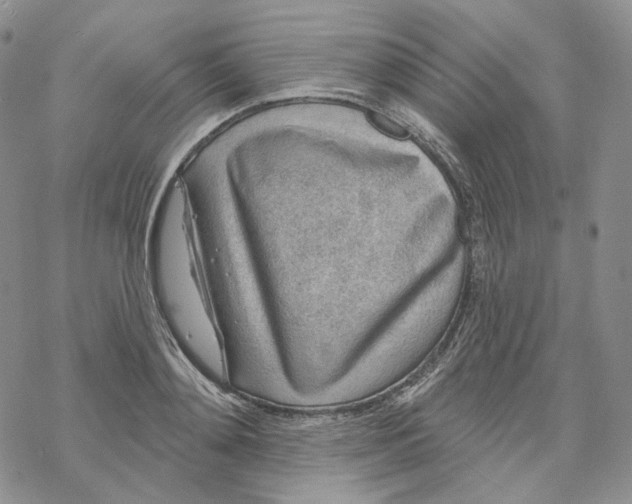 X0000069840892200606091508