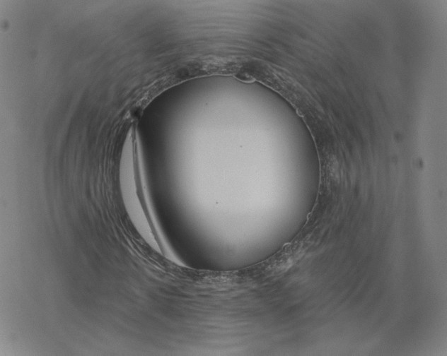 X0000069840914200606091507
