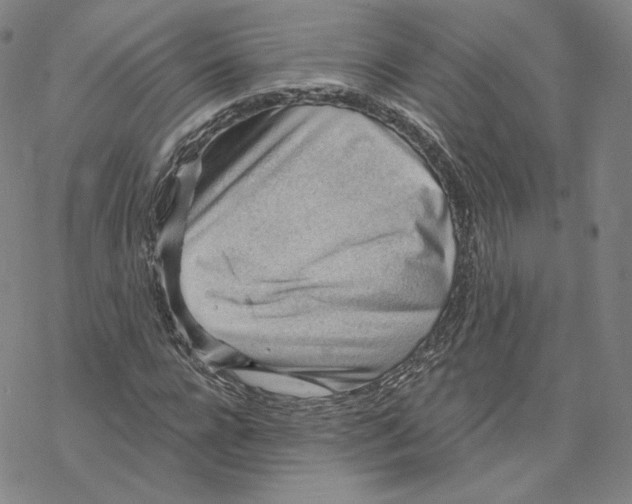 X0000069840920200606091507