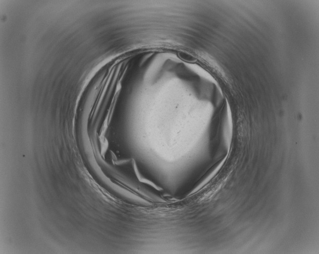X0000069840932200606091507