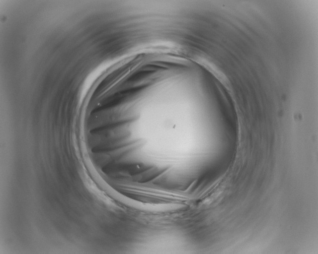 X0000069840960200606091507