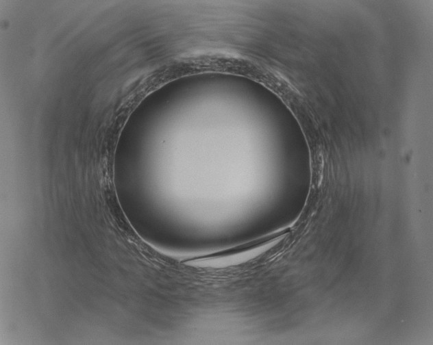 X0000069840965200606091507