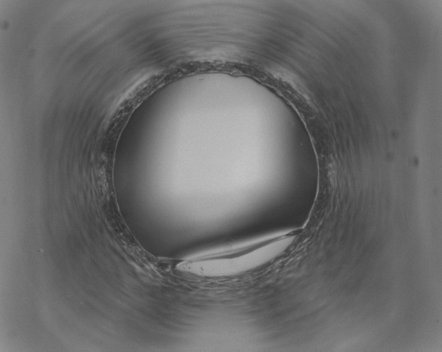 X0000069840968200606091507