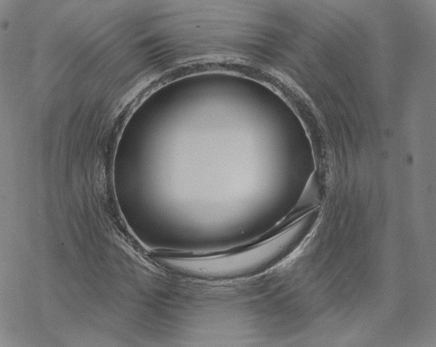 X0000069840969200606091507