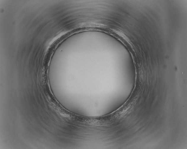 X0000069840971200606091507