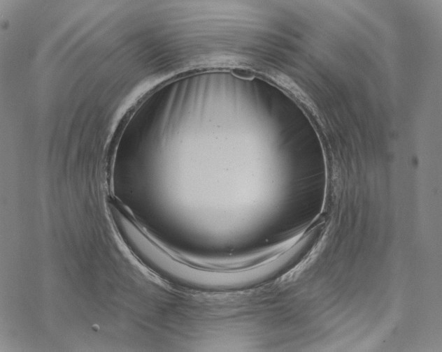 X0000069840989200606091506