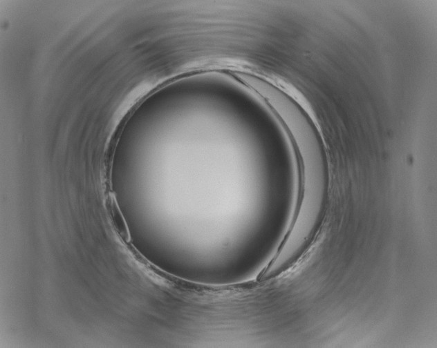 X0000069840997200606091506
