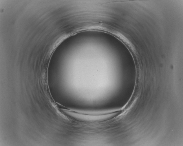 X0000069841001200606091506