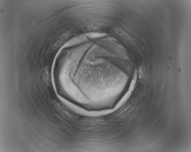 X0000069841011200606091505