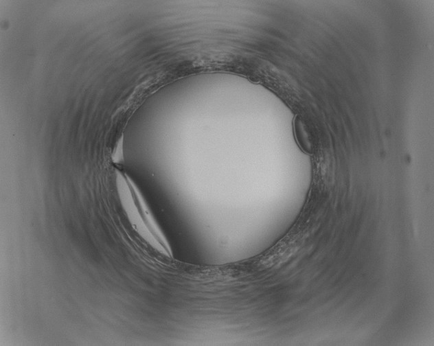 X0000069841012200606091505