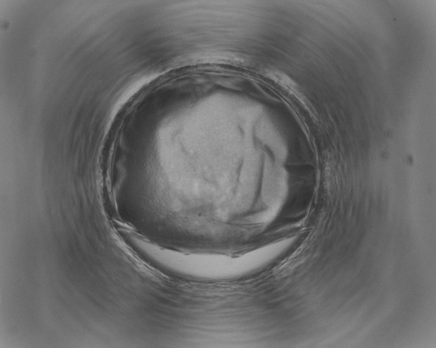 X0000069841024200606091505