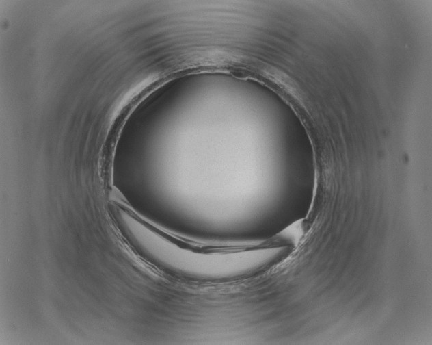 X0000069841026200606091505