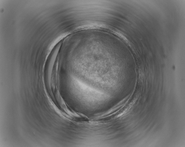 X0000069841034200606091506