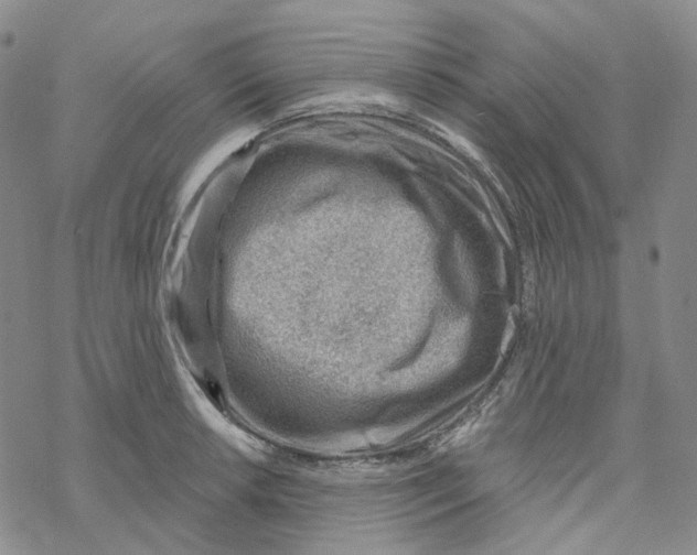 X0000069841042200606091506