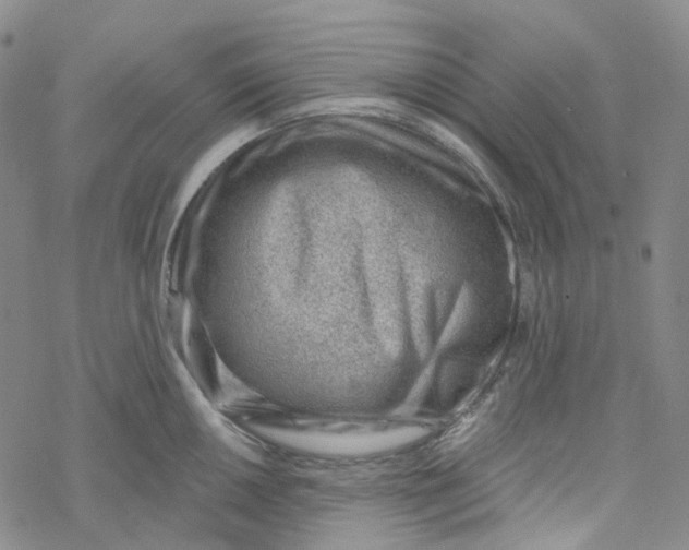 X0000069841050200606091506