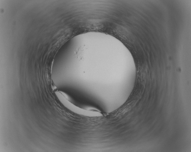 X0000069841058200606091505
