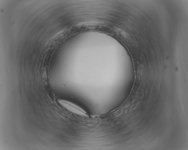 X0000069841062200606091505