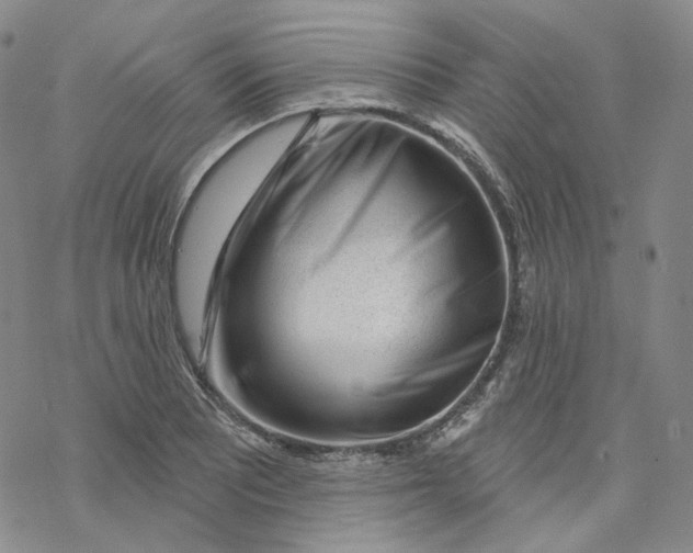 X0000069841081200606091505