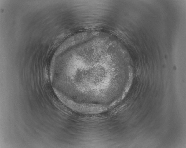 X0000069841106200606091504