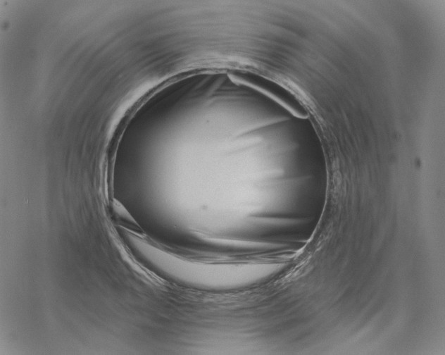 X0000069841128200606091504