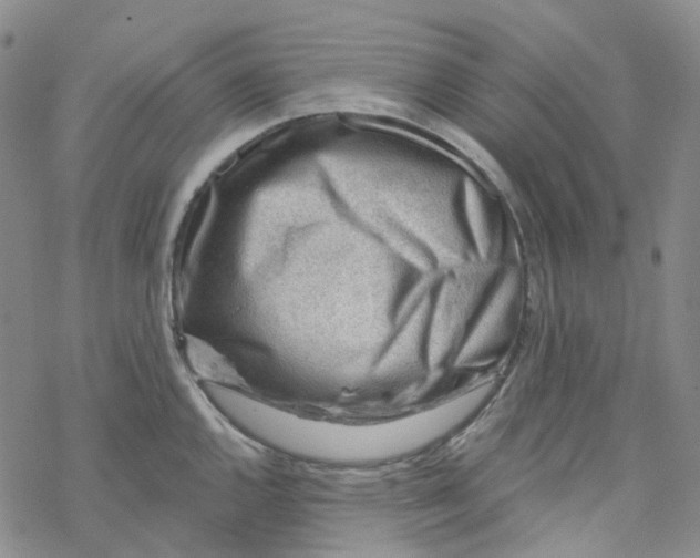 X0000069841144200606091504