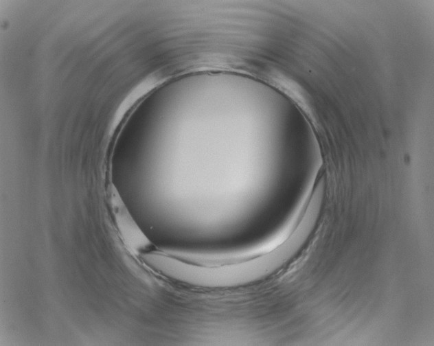 X0000069841146200606091504
