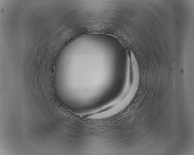 X0000069841153200606091504