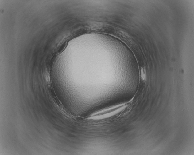 X0000069841155200606091504