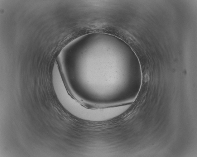 X0000069841156200606091504