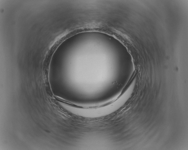 X0000069841160200606091503