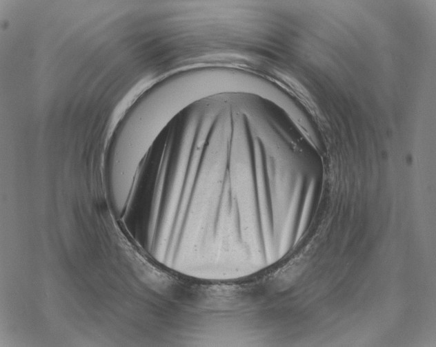 X0000069841180200606091503
