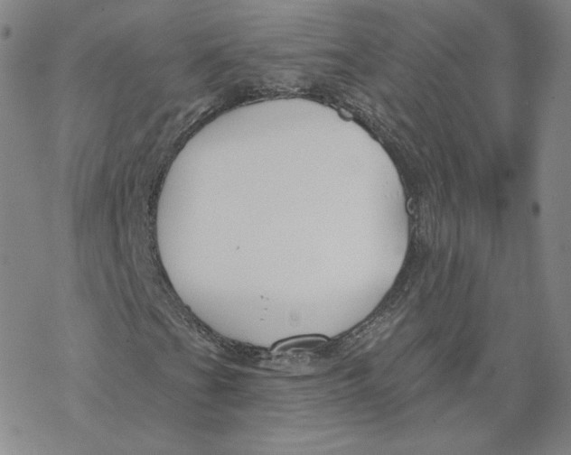 X0000069841201200606091502