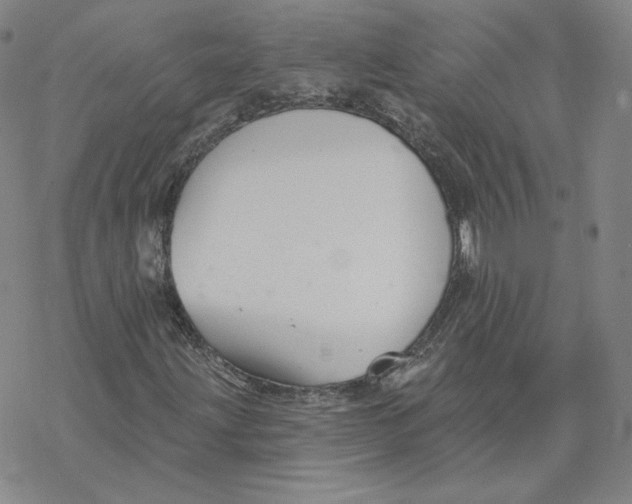 X0000069841203200606091502