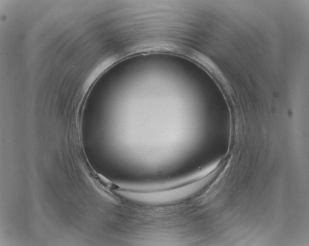 X0000069841242200606091503